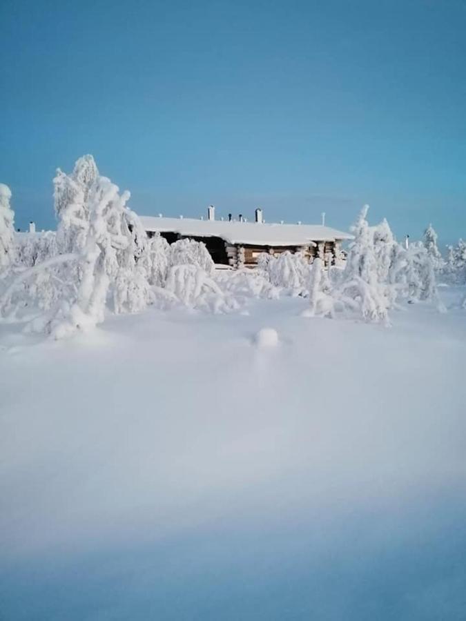 Sielikko Aurora Log Apartments Сааріселькя Екстер'єр фото